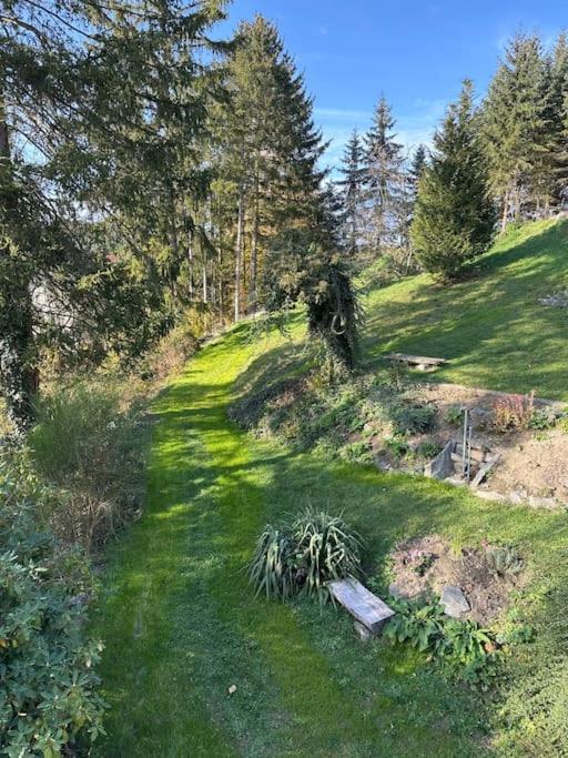 Exclusiv Im Erzgebirge Apartman Amtsberg Kültér fotó